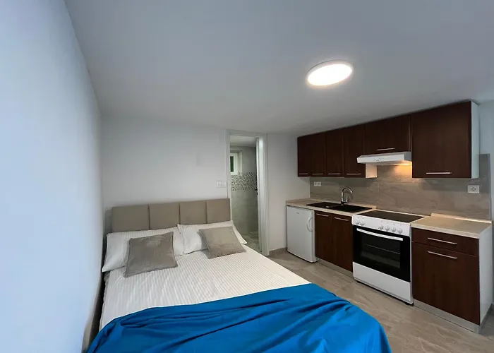 度假居 Dionis Lovely Beachfront House In Prigradica, Korcula Island *